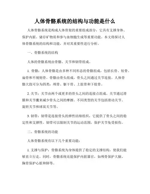 人体骨骼系统的结构与功能是什么