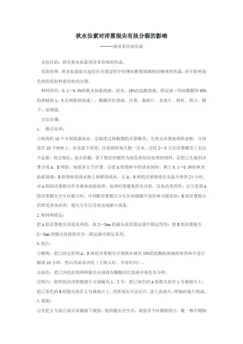 秋水仙素洋葱