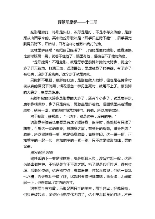 薛颠形意拳——十二形