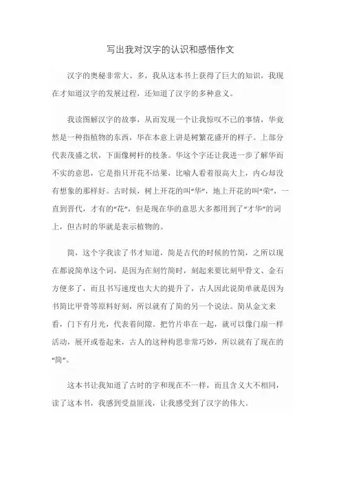 写出我对汉字的认识和感悟作文