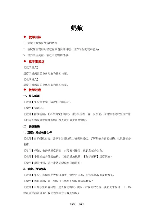 大象版小学一年级上册科学 第二单元 认识小动物 3 蚂蚁 教案