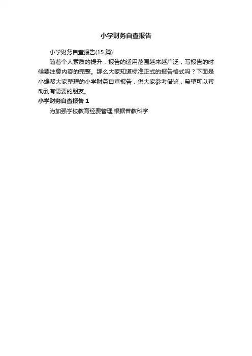 小学财务自查报告