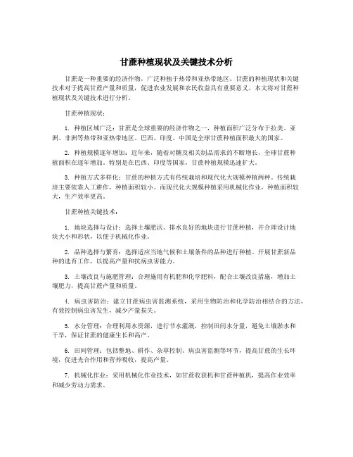 甘蔗种植现状及关键技术分析