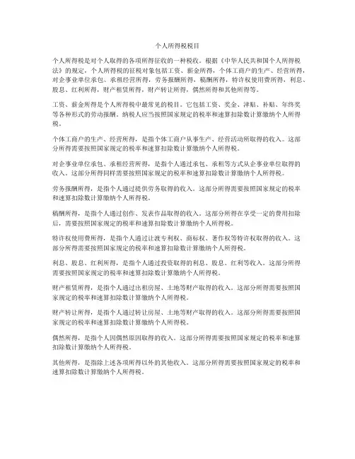 个人所得税税目