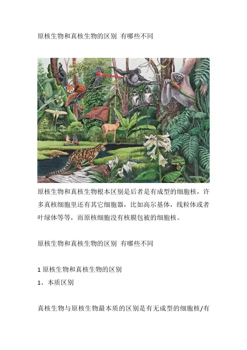 原核生物和真核生物的区别 有哪些不同