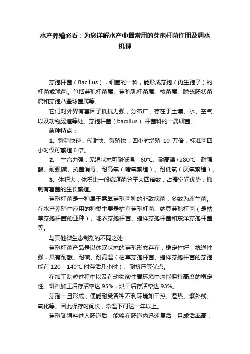 水产养殖必看：为您详解水产中最常用的芽孢杆菌作用及调水机理