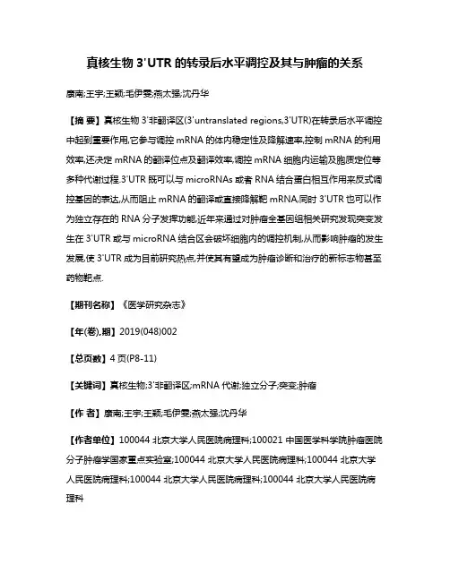 真核生物3'UTR的转录后水平调控及其与肿瘤的关系