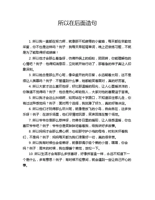 所以在后面造句