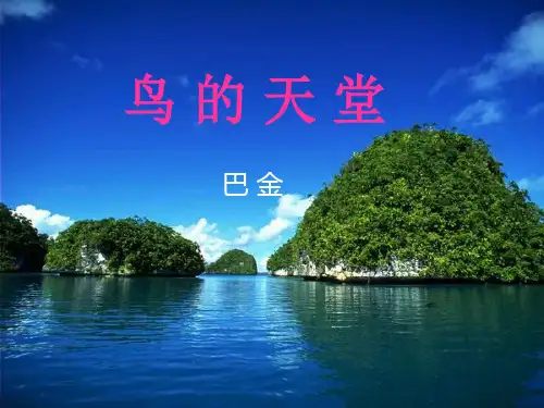(赛课课件)四年级上册语文《鸟的天堂》(共49张PPT)
