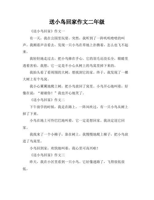 送小鸟回家作文二年级