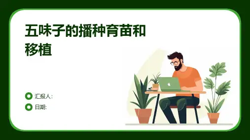 五味子的播种育苗和移植