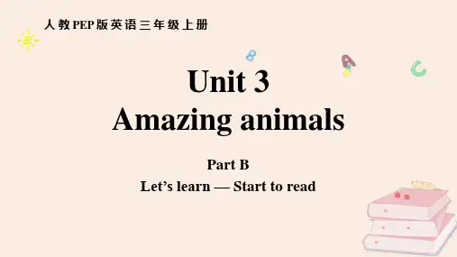 《Amazing animals》PartB PPT课件(第2课时)