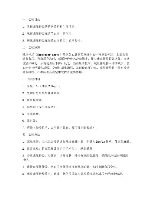 家兔减压神经_实验报告