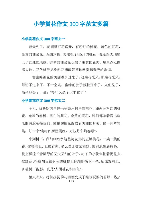 小学赏花作文300字范文多篇