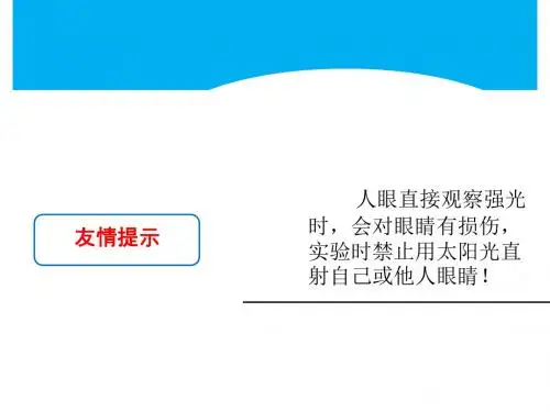 初中物理《光的色彩、颜色》(共25张)ppt13