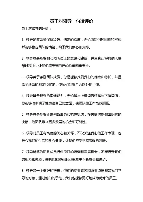 员工对领导一句话评价