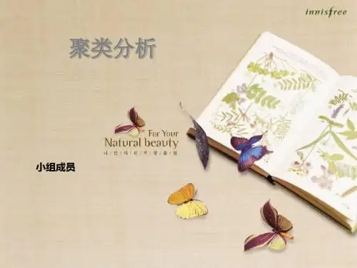 聚类分析