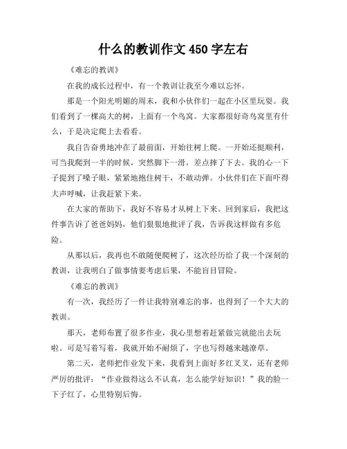什么的教训作文450字左右
