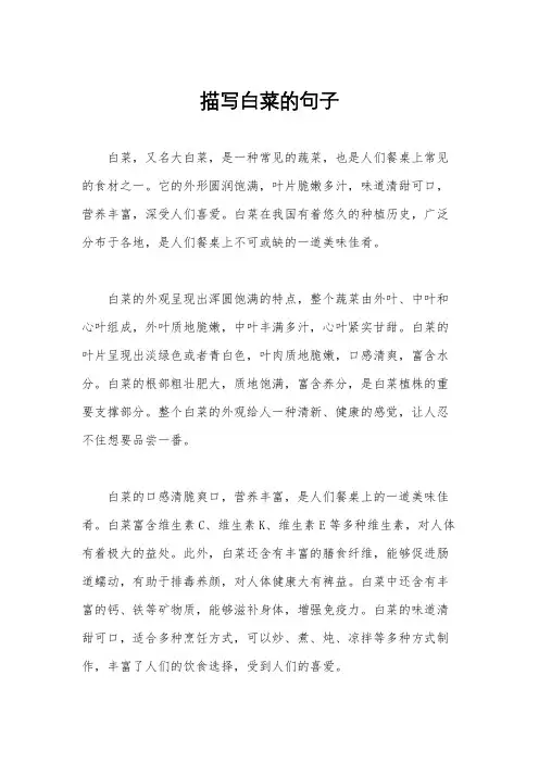 描写白菜的句子