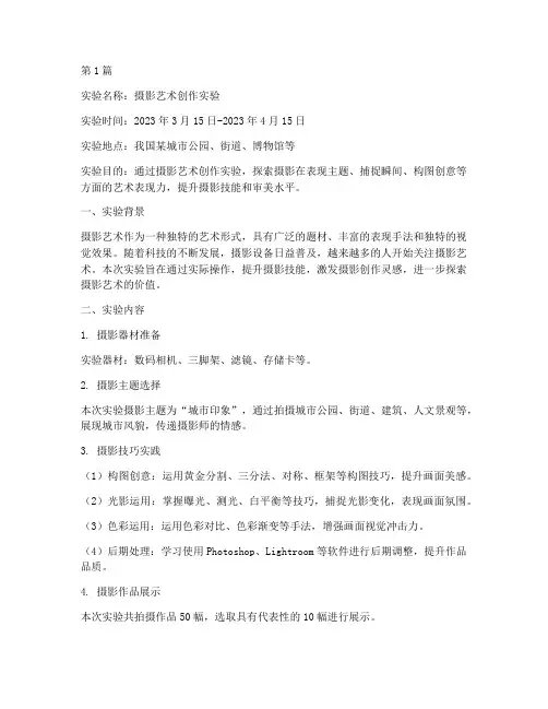 摄影艺术实验报告(3篇)