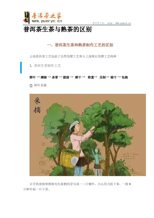 普洱茶生茶和熟茶的区别,生茶好还是熟茶好？