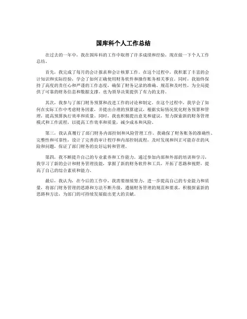 国库科个人工作总结
