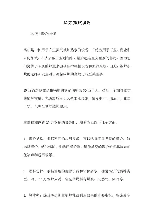 30万{锅炉}参数