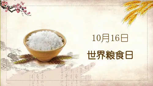 世界粮食日珍惜粮食通用图文PPT教学课件