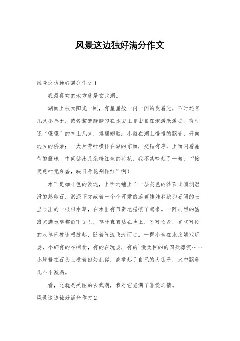风景这边独好满分作文