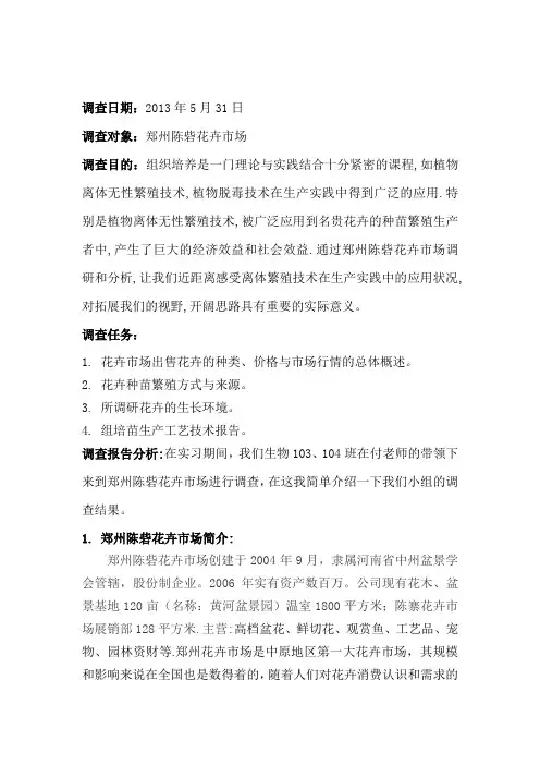 郑州陈砦花卉市场调研
