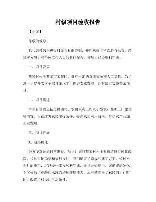 村级项目验收报告