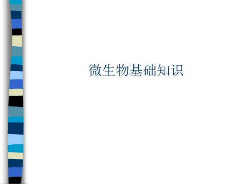 微生物基础知识
