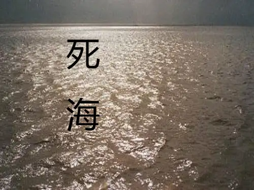 四年级上语文课件(A)-我躺在波浪上读书_沪教版