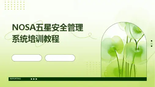 2024版NOSA五星安全管理系统培训教程