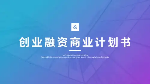 电子商务商业计划书 ppt