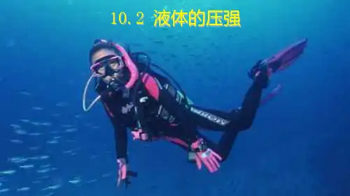 液体的压强(公开课)PPT课件