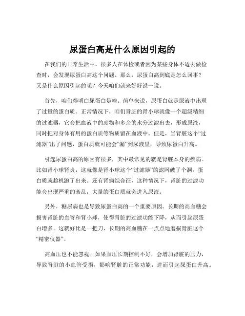 尿蛋白高是什么原因引起的