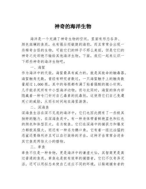 神奇的海洋生物