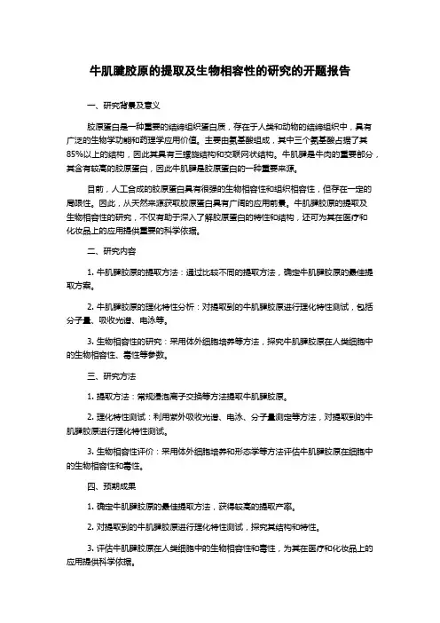 牛肌腱胶原的提取及生物相容性的研究的开题报告