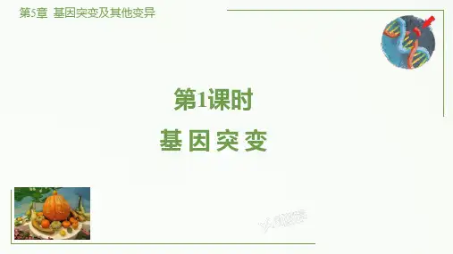 基因突变ppt课件