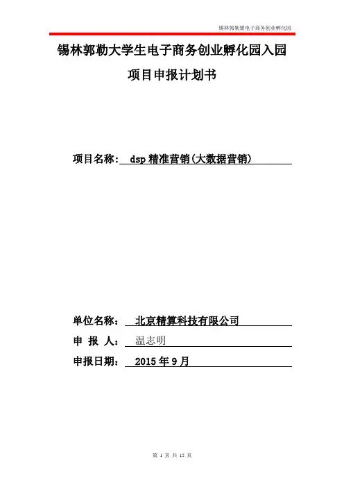 dsp精准营销(大数据营销)项目大学生电子商务创业孵化园入园申报商业计划书