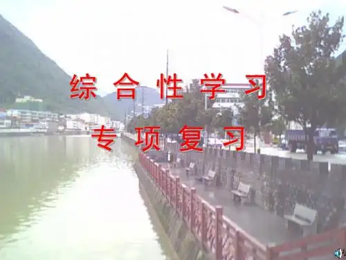 综合性学习专项复习