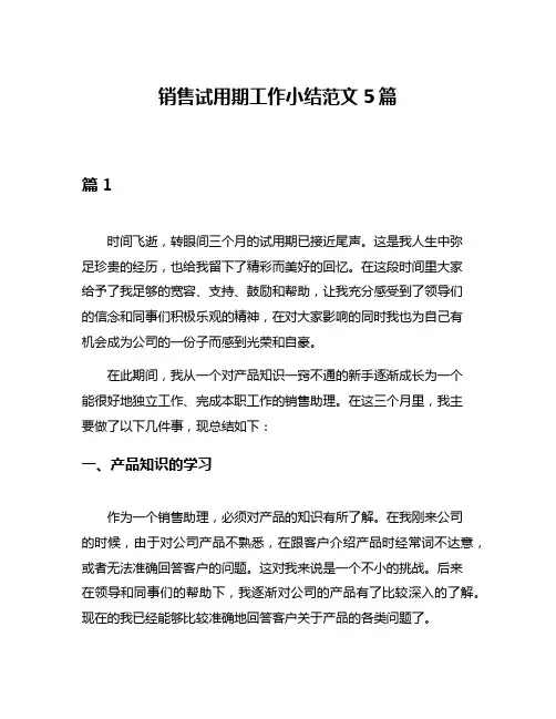 销售试用期工作小结范文5篇