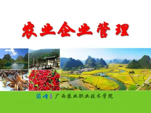 02企业制度与组织设计2农业企业的组织结构与创新