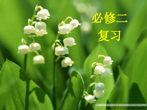 生物必修二复习课件