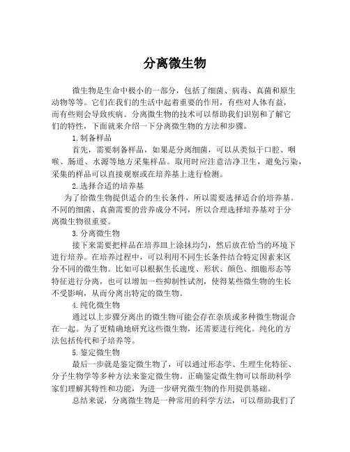 分离微生物