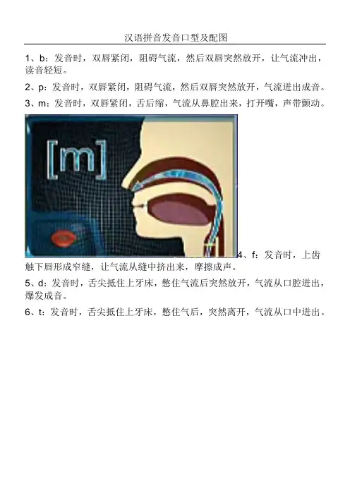 汉语拼音发音口型及配图