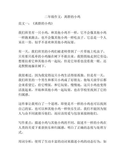 二年级作文：离群的小鸡