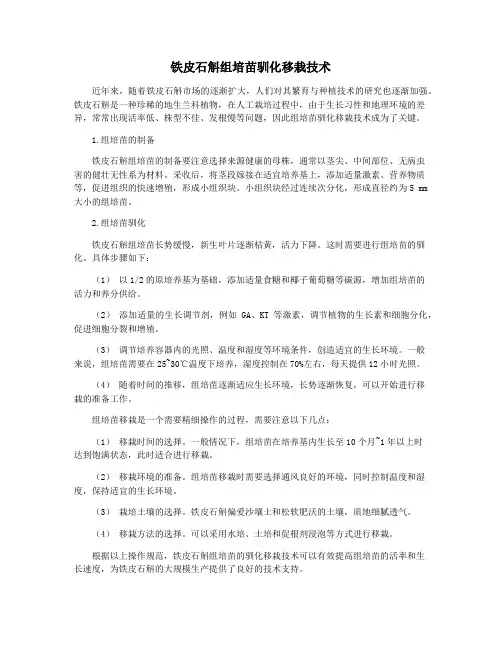 铁皮石斛组培苗驯化移栽技术