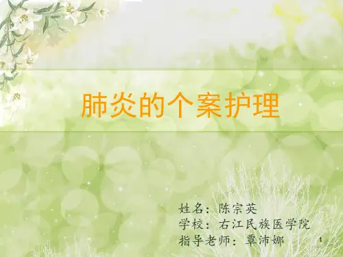 肺炎的个案护理PPT课件